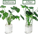 LEOBRO Tomato Cage, 2 PCS Small Plant Support Cage Rust Resistant Garden Ring Stake Plant Support for Tomato, Trellis, Climbing Plant, Flower, Plant Cages for Small Plants,17.7" H