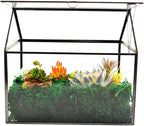 Terrarium Black House-Shaped Glass Planter with Swing Lid, Large