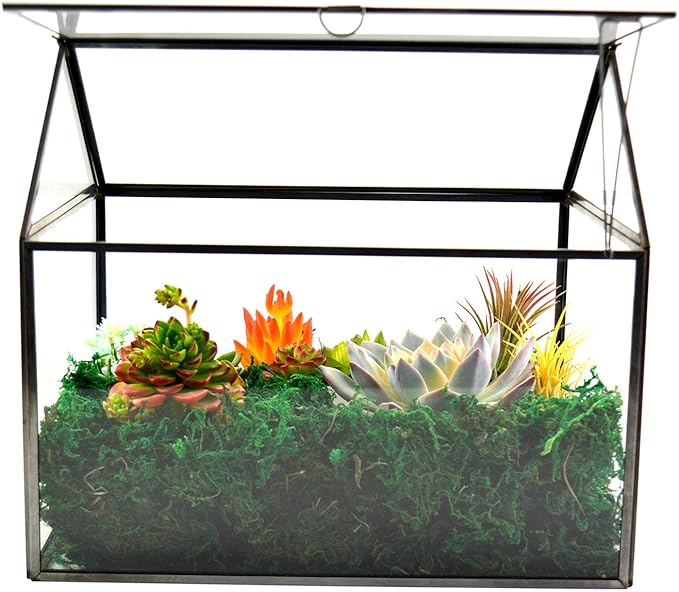 Terrarium Black House-Shaped Glass Planter with Swing Lid, Large