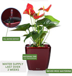 Dexceder 11x10 Self Watering Planter Indoor Outdoor, Inner Mat Design, Thickened Table Flower Plant Pot with Water Level Indicator (Red High Gloss)