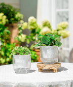 Melphoe Self Watering Pots for Indoor Plants Planter, 4.3 Inch 2 Pack Planters Self Watering Plant Pots for Flower, Houseplants, Succulent, African Violets and Cactus with Drainage