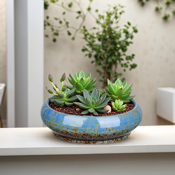 7.3 Inch Succulent Planters Pots Shallow Ceramic Glazed Planter Pots, Lotus Bowl Planter Round Shallow Planter Water Lily Pot for Indoor/Outdoor Plants Decorative (Blue)