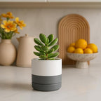 Planters, 4-Pack Modern Ceramic Pots with Drainage Holes and Saucers