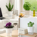 6 Pack Self Watering Pots for Indoor Plants, 8.4 Inches Self Watering Planters Large African Violet Self Watering Clear Pots for Plants Large Herb Orchid Flower Houseplant Pots, White