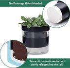 Phoenix Vine 4 Inch Self Watering Planter Pot, Black Terracotta Clay Pot with Glass Reservoir for Indoor Plants, Herbs, Flowers, Set of 2, 52-C-E-2