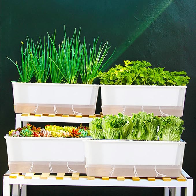 FAMZ Self Watering Pots for Indoor Plants 3 Pack Transparent Rectangular Planting Self Watering Planter，Vegetable Planters for Windowsill Patio Garden Balcony Home Porch Yard Indoor Outdoor (White)