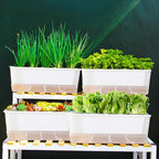 FAMZ Self Watering Pots for Indoor Plants 3 Pack Transparent Rectangular Planting Self Watering Planter，Vegetable Planters for Windowsill Patio Garden Balcony Home Porch Yard Indoor Outdoor (White)