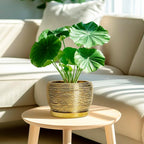 SQOWL Ceramic Flower Pot - 8 Inch Plant Pot Indoor Outdoor, Round Planter with Drainage Hole and Saucer, Decorative Modern Planter, Home Decor, Plant Lovers Gifts, Gold