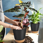 GARDIFE Plant Pots 7/6.5/6/5.5/5 Inch Self Watering Planters with Drainage Hole, Plastic Flower Pots, Nursery Planting Pot for All House Plants, African Violet, Flowers, and Cactus,Black