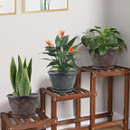 11 inch Plant Pot, 3 Pack Large Pots for Plants, Flower Pots with Drainage Hole & Saucer, Modern Planters for Indoor Outdoor Plants, Decorative Plastic Garden Pots (Copper)