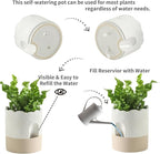 Nihow Self Watering Plant Pot: 6 Inch Ceramic Planter with Drainage Hole & Water Storage Plus - Relief Design Self Watering Pot for Indoor Plants - Beige & Nature Flower Pot
