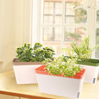 OurWarm Windowsill Herb Planter Box Indoor Set of 3, 10.5 Inch Self Watering Planter Pots with Visual Water Level Window, Modern Plastic Plant Pots for Herbs, Vegetables, Succulents Plants