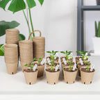 60 Packs 3.15 Inch Peat Pots,Biodegradable Pots for Seedlings with Drainage Holes, Garden Germination Nursery Pots with 50Pcs Plant Labels