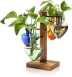Terrarium Propagation Station, Heart Glass Vase with Wood Stand