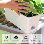 Window Box Planter 6 Packs, 13.8 Inches Rectangle Flower Pots with Drainage Holes & Trays, Pots for Vegetables, Herbs, Flowers, Garden Windowsill Balcony (White)