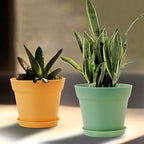 WOUSIWER 16 Pack 6 inch Plastic Planters, Indoor Flower Pots, Heavy Duty and Stylish 6 Inch Plant Pots for Indoor Plants with Drainage Holes and Tray for Plants, Flowers, Colorful