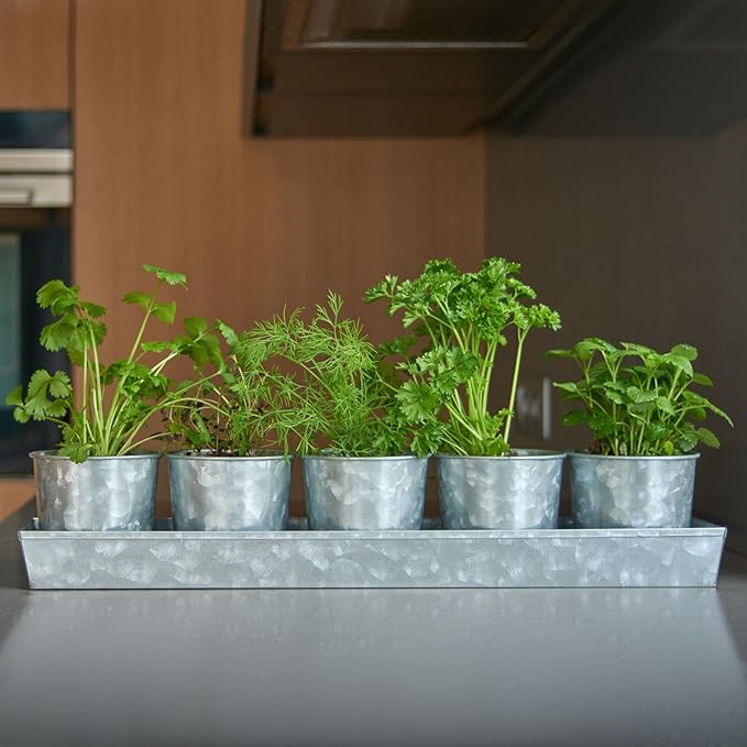 Galvanized Steel Herb Planter Set of 5 with Catch Tray