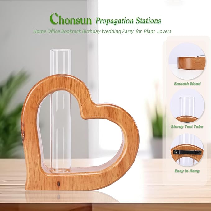 Terrarium Wall Planter with Glass Test Tube, Heart Shaped Pine Wood Stand