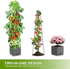 2 Pack Raised Garden Bed Tomato Planter with Trellis, 57" Tomato Cage Plant Support Planters, Self-Watering Planter for Tomatoes Climbing Plants Vegetable Vine Flowers Outdoor & Indoor