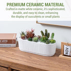 MyGift 12 Inch Ceramic Succulent Planter, Oval Matte White Planter Pot, Indoor Plants Flower Herb Garden Pot Window Box