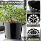 BTPLASTIK 15 Pack 6 Inch Plastic Plant Pots with Drainage Holes, Sturdy Nursery Pots for Plants, Thickened Flower Pots for Indoor Outdoor Planting Transplanting, Succulents, Seedlings, Black