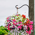 Cast Iron Plant Hooks for Hanging Baskets Indoor, Heavy Duty Plant Hangers Outdoor, Rustic Planter Hook Hanging Lanterns Bird Feeders, 4 Inch (4 Pack)