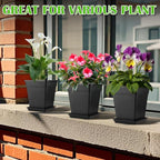 6 inch Plant Pots, 10 Pack Flower Pots Outdoor Indoor, Square Plastic Planter with Drainage Holes and Saucers, 0.5 Gallon Planter Pots for Plants Deep Capacity Garden Pot Container with Tray