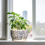 SQOWL 10 Inch Plant Pot Indoor - Ceramic Planter with Drainage Hole and Tray, Large Ceramic Flower Pots Outdoor, Porcelain Decorative Round Planter, Room Decor, Gifts for Plant Lovers, Blue and Beige