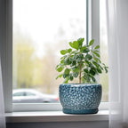 SQOWL 8 inch Plant Pot - Ceramic Pots for Plants Indoor, Decorative Plant Pot with Drainage Hole and Saucer, Ceramic Flower Pots Outdoor, Round Planter, Living Room Decor, Garden Gifts for Women, Blue