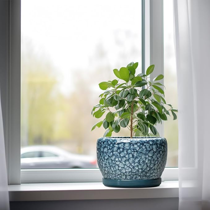 SQOWL 8 inch Plant Pot - Ceramic Pots for Plants Indoor, Decorative Plant Pot with Drainage Hole and Saucer, Ceramic Flower Pots Outdoor, Round Planter, Living Room Decor, Garden Gifts for Women, Blue
