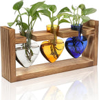 Terrarium Set with 3 Heart Shaped Glass Vases and Wood Stand
