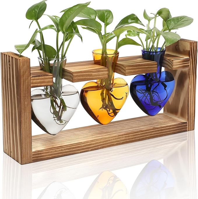 Terrarium Set with 3 Heart Shaped Glass Vases and Wood Stand