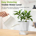 5 Pack Self Watering Pots for Indoor Plants 6.7 Inches Self Watering Planters African Violet Self Watering Pots Clear Pot for Herb Orchid Flower Houseplant, Light Grey
