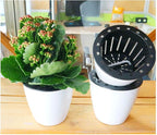 5.2“ Self Watering Planter White Flower Pot, 3 Pcs Medium Planter Pot, Mini Plant Pot, for All Plants, Herbs, African Violets, Succulents, Flowers Or Start Plants, White, 5 inch