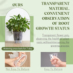 Self Watering Pots for Indoor Plants with Deep Reservoir and High Drainage Holes for Outdoor Plants and Flowers, Bare Root Planter(4.72'',Clear,6 Pcs)