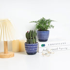 Selamica Ceramic Succulent Pots, 4.6 Inch Small Plant Pots with Drainage Holes & Saucers, Succulent Planters for Indoor Plants Cactus, Home Decor, Set of 6, Vintage Blue