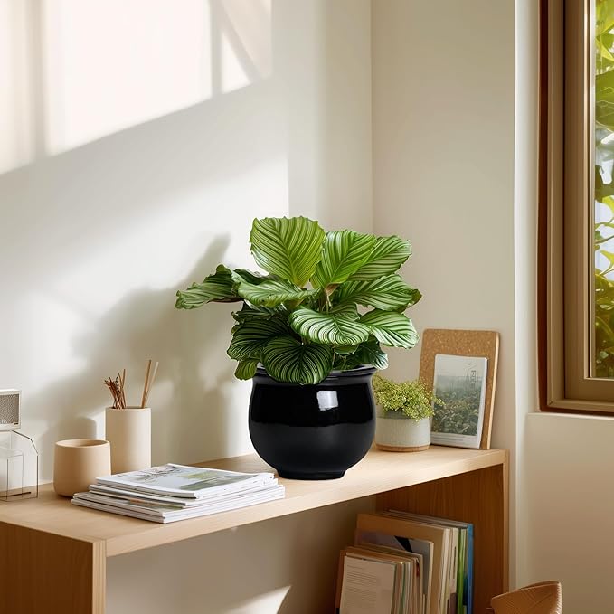 Ceramic African Violet Self Watering Pots, 6 Inch Self Watering Plant Pot with Absorbent Inner Pot, Flower Pots for Indoor Plants, Round Ceramic Planter, Home Decor, Plant Lover Gifts, Black
