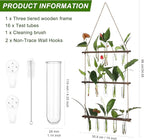 Terrarium Wall Hanging Propagation Station, 3-Tier Wood Frame, Glass Tubes
