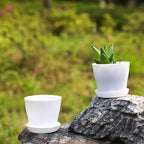 TDHDIKE 10 Pcs Plastic Planters Indoor Flower Plant Pots, Mini Flower Seedlings Nursery Pot/Planter/Flower Pot with Pallet, Modern Decorative Gardening Containers (White25)