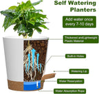 Self Watering Pots, 4 inch Flower Pots with Multi Mesh Drainage Holes, Small Platic Planters for Indoor Outdoor Garden Plants and Flowers (Whtie with Brown Tray, 4")