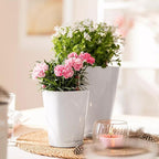 Lechuza MINI-DELTINI Cream White High Gloss, Self-Watering Small Indoor Planter, H5.1 L3.9 W3.9, 0.4L in