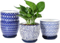 Selamica Ceramic Plant Pots, 5.6 Inch Flower Pots for Indoor Plants with Drainage Hole and Saucer,Home Decor, Set of 4, Vintage Blue