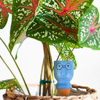 4 Pack Terracotta Watering Spikes, Vacation Self-Watering Planters Devices - Continuous Moisture with Slow Release Watering System - Perfect for Indoor Outdoor Plants (Big Head)
