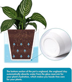 D'vine Dev 10 Inch Design Self Watering Planter for Indoor Plants, White Terracotta Pots with Cylinder Glass Cup, 37-X-D-2