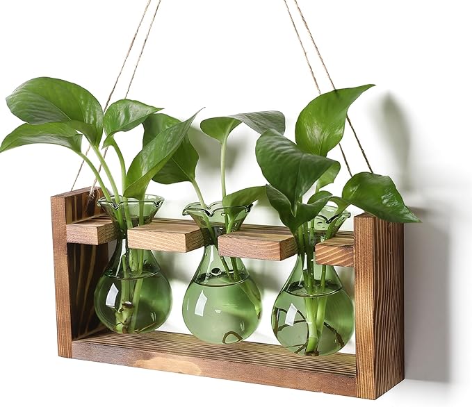 Terrarium Set with Three Green Bulb Glass Bottles and Wooden Stand