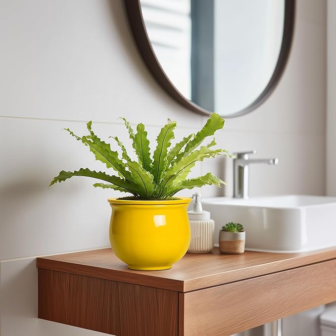 Ceramic Self Watering Planters, 6 Inch African Violet Pots for Indoor Outdoor Plants, Ceramic Plant Pot with Absorbent Inner Pot, Round Flower Pots, Living Room Decor, Gifts for Women, Yellow