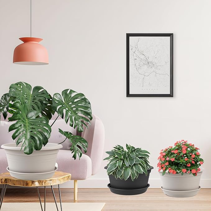 6 Pack 10 inch Plant Pot, Round Plastic Plant Pots, Outdoor Pots for Plants with Drainage Hole & Tray Saucer, Decoration Flower Pots for Indoor Plants Home Garden Outdoor Planters (Dark Gray)