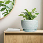 SQOWL Ceramic Pots for Plants - 10 Inch Ceramic Planter for Indoor Outdoor, Modern Round Flower Pot with Drainage Hole and Saucer, Large Planter, Home Office Decor, Gifts for Plant Lovers, Green