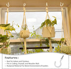 75 Pcs Ceiling Hooks for Hanging Plants, Cups, Utensils Vinyl Coated Screw-in Mug Hooks for Wooden and Drywall–Multi Size Sets (1/2 inch,5/8 inch,3/4 inch,7/8 inch,1 inch,1-1/4 inch)