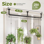 Bamworld Window Plant Hanger Indoor 63in 2PCS Hanging Planters for Indoor Plants Hanging Plants Holder Hanging Rod Window Plant Shelves Wall Planters Pot/Chain/Plant Not Included (Black)